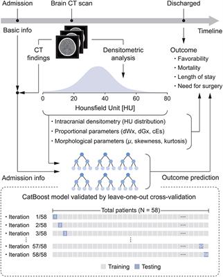 Intracranial Densitometry-Augmented Machine Learning Enhances the Prognostic Value of Brain CT in Pediatric Patients With Traumatic Brain Injury: A Retrospective Pilot Study